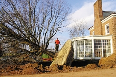 BigTree440-2