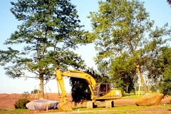 Treespades1-580