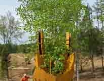 planting-1
